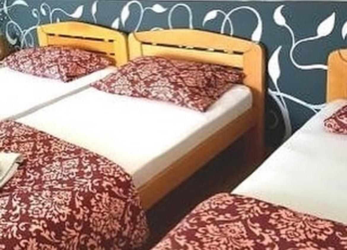Guesthouse Vladimir & Ana Pančevo المظهر الخارجي الصورة